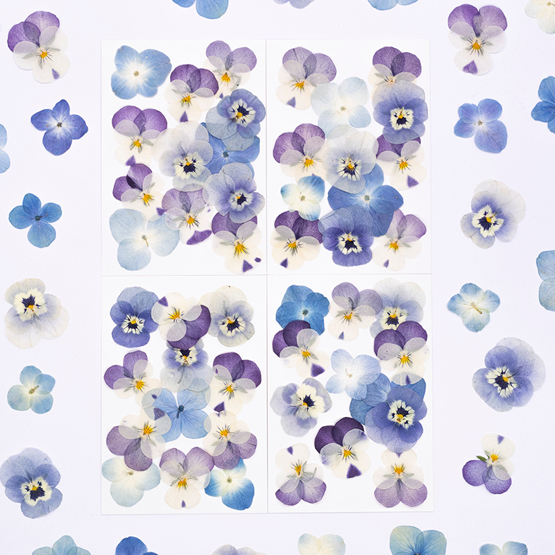 Supplies Of Candle - 12pcs,Real Viola Cornuta Pressed Dried Flowers