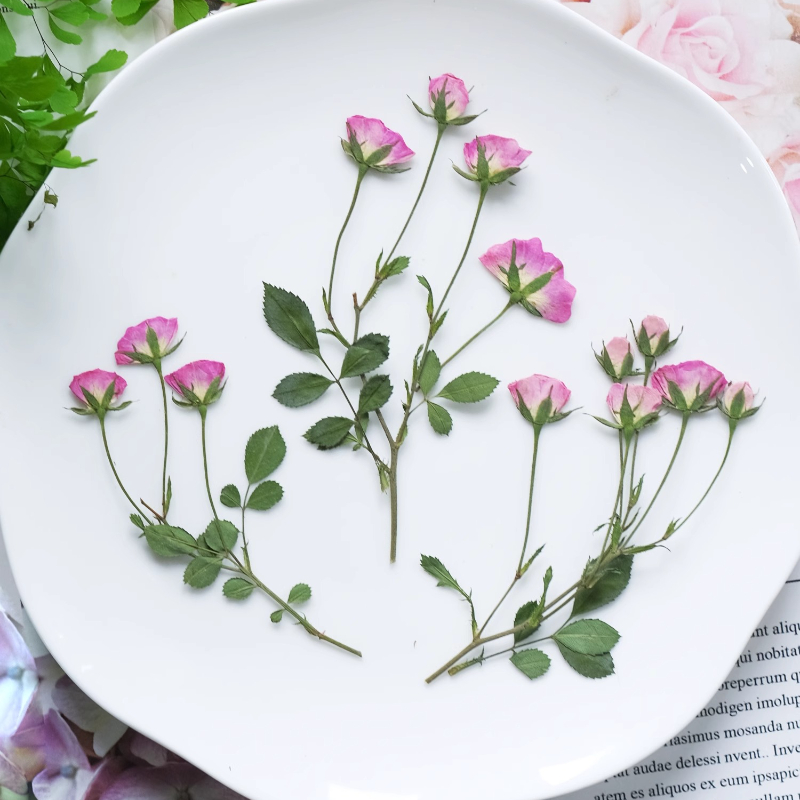 12pcs,Mini Pink Rose Pressed F - đánh giá và giá Supplies Of Candle